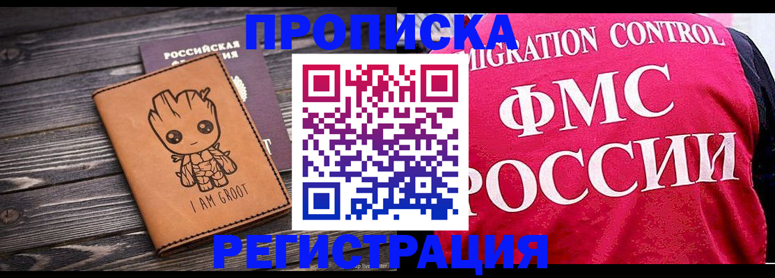 прописка 2025 в Тынде